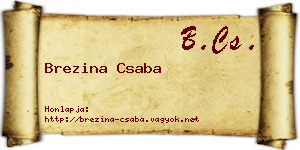 Brezina Csaba névjegykártya